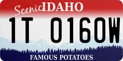 ID license plate 1T0160W