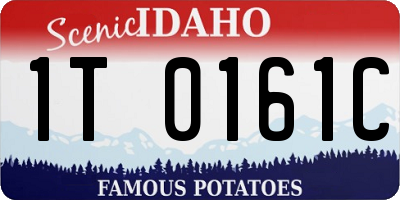 ID license plate 1T0161C