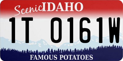ID license plate 1T0161W