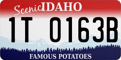 ID license plate 1T0163B