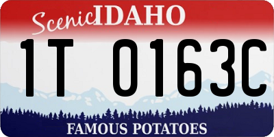ID license plate 1T0163C
