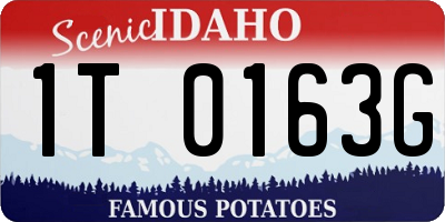ID license plate 1T0163G