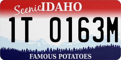 ID license plate 1T0163M
