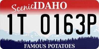 ID license plate 1T0163P