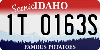 ID license plate 1T0163S