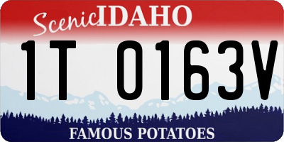ID license plate 1T0163V