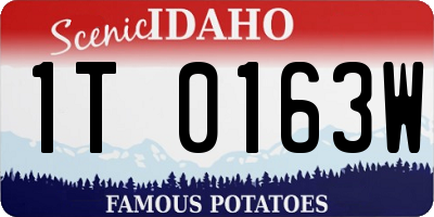 ID license plate 1T0163W