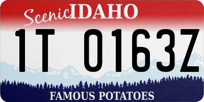 ID license plate 1T0163Z