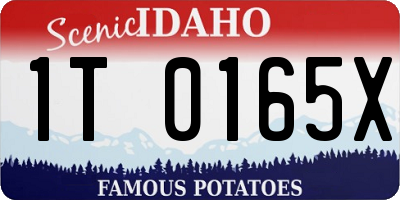 ID license plate 1T0165X