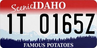 ID license plate 1T0165Z
