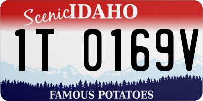 ID license plate 1T0169V