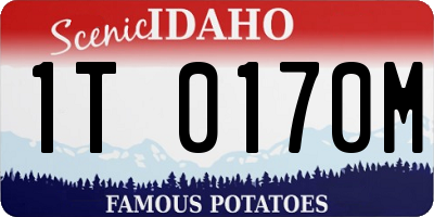 ID license plate 1T0170M