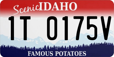 ID license plate 1T0175V