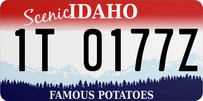 ID license plate 1T0177Z