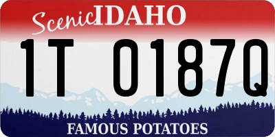 ID license plate 1T0187Q