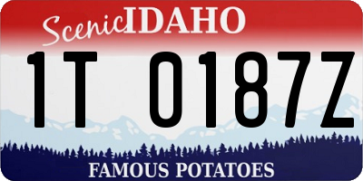 ID license plate 1T0187Z