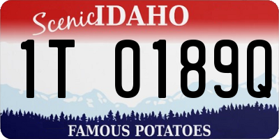 ID license plate 1T0189Q