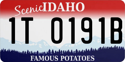 ID license plate 1T0191B
