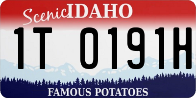 ID license plate 1T0191H