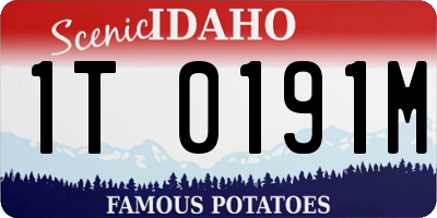 ID license plate 1T0191M