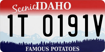 ID license plate 1T0191V