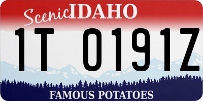 ID license plate 1T0191Z
