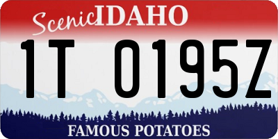 ID license plate 1T0195Z