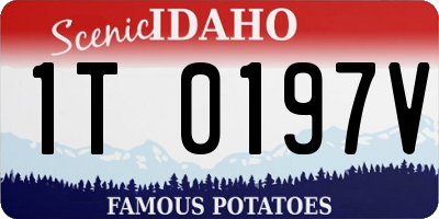 ID license plate 1T0197V