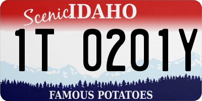 ID license plate 1T0201Y
