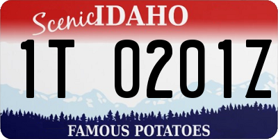 ID license plate 1T0201Z