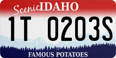 ID license plate 1T0203S