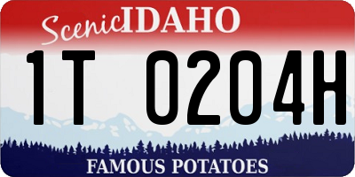 ID license plate 1T0204H