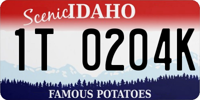 ID license plate 1T0204K