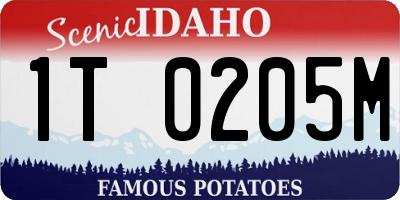 ID license plate 1T0205M