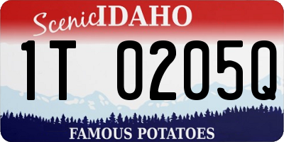 ID license plate 1T0205Q