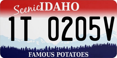 ID license plate 1T0205V
