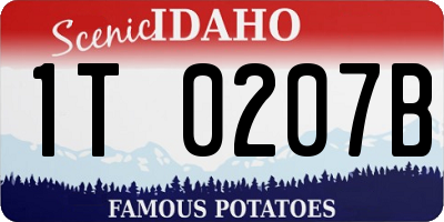 ID license plate 1T0207B