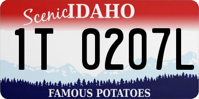 ID license plate 1T0207L