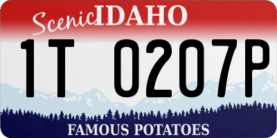 ID license plate 1T0207P