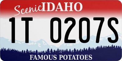 ID license plate 1T0207S