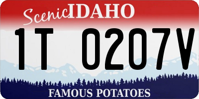 ID license plate 1T0207V