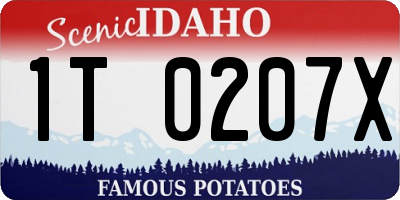 ID license plate 1T0207X