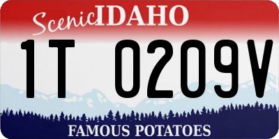 ID license plate 1T0209V