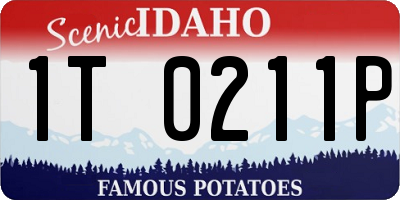 ID license plate 1T0211P
