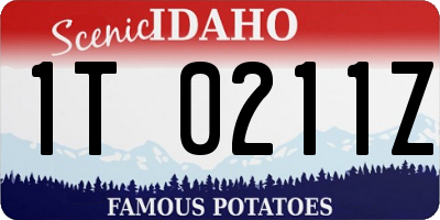 ID license plate 1T0211Z