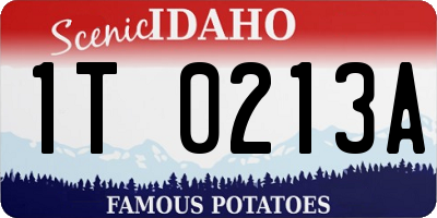 ID license plate 1T0213A
