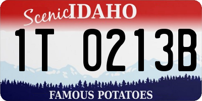 ID license plate 1T0213B
