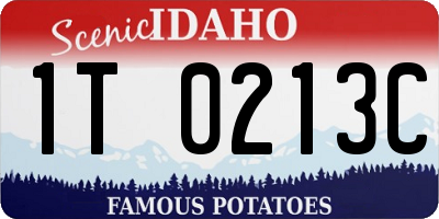 ID license plate 1T0213C