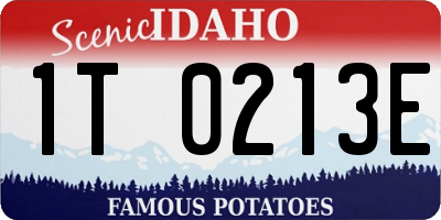 ID license plate 1T0213E