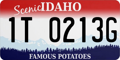ID license plate 1T0213G